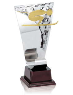 013 Trofeos de ESQUI&nbsp;economicos personalizados en Valencia
