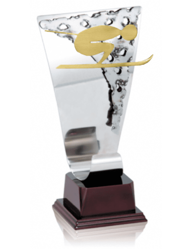 013 Trofeos de ESQUI&nbsp;economicos personalizados en Valencia