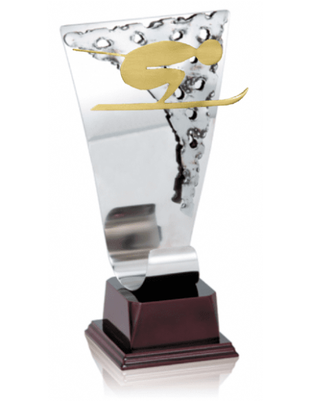 013 Trofeos de ESQUI&nbsp;economicos personalizados en Valencia