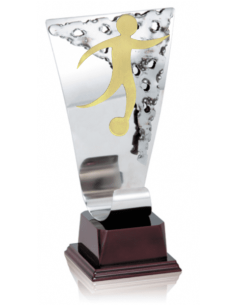 014 Trofeos de FUTBOL&nbsp;economicos personalizados en Valencia