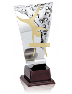014 Trofeos de GIMNASIA&nbsp;economicos personalizados en Valencia