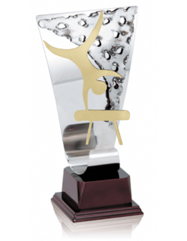 014 Trofeos de GIMNASIA&nbsp;economicos personalizados en Valencia