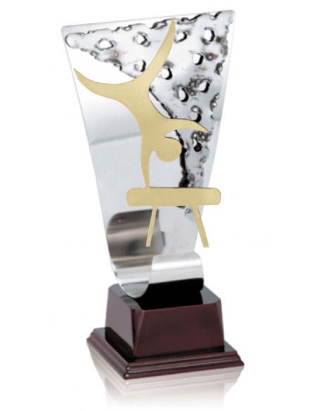 014 Trofeos de GIMNASIA&nbsp;economicos personalizados en Valencia