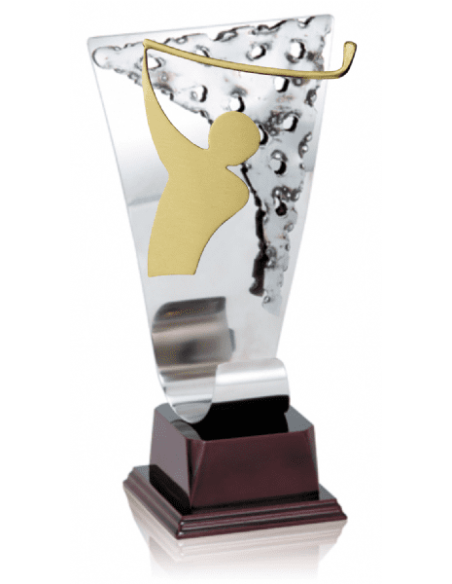015 Trofeos de GOLF&nbsp;economicos personalizados en Valencia