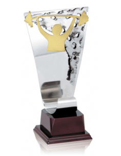 015 Trofeos de HALTEROFILIA&nbsp;economicos personalizados en Valencia