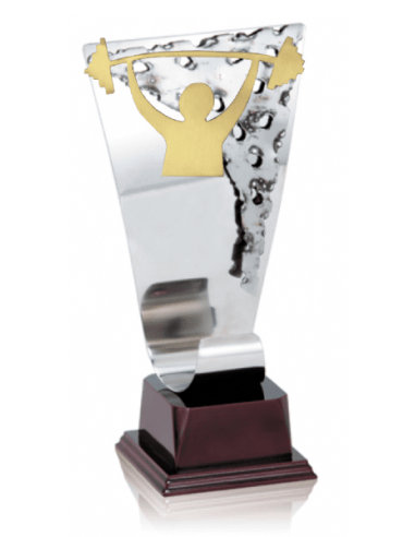 015 Trofeos de HALTEROFILIA&nbsp;economicos personalizados en Valencia