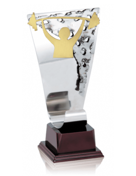 015 Trofeos de HALTEROFILIA&nbsp;economicos personalizados en Valencia