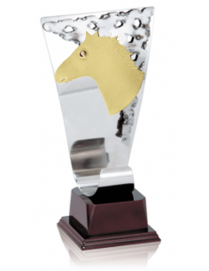 016 Trofeos de HIPICA&nbsp;economicos personalizados en Valencia