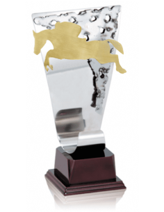 012 Trofeos de HIPICA 1&nbsp;economicos personalizados en Valencia