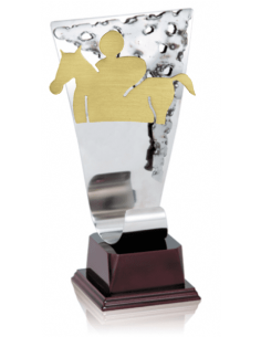 013 Trofeos de HIPICA 2&nbsp;economicos personalizados en Valencia