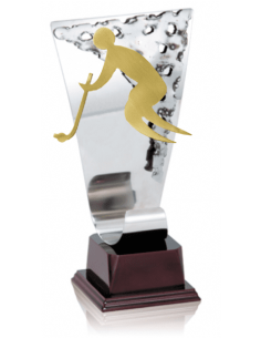 018 Trofeos de HOCKEY&nbsp;economicos personalizados en Valencia