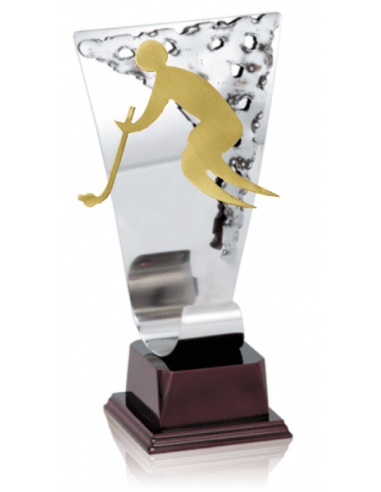 018 Trofeos de HOCKEY&nbsp;economicos personalizados en Valencia