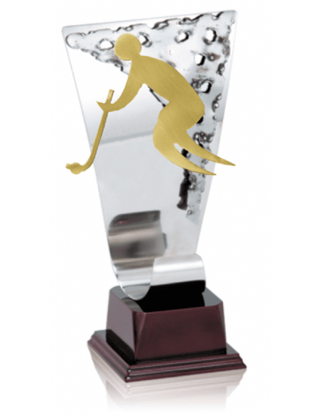 018 Trofeos de HOCKEY&nbsp;economicos personalizados en Valencia