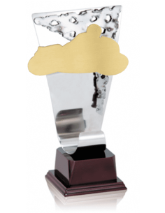 018 Trofeos de MICROFONO&nbsp;economicos personalizados en Valencia