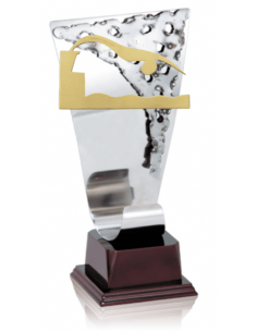 Trofeos de NATACION economicos personalizados en Valencia