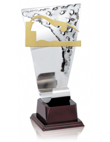 Trofeos de NATACION economicos personalizados en Valencia