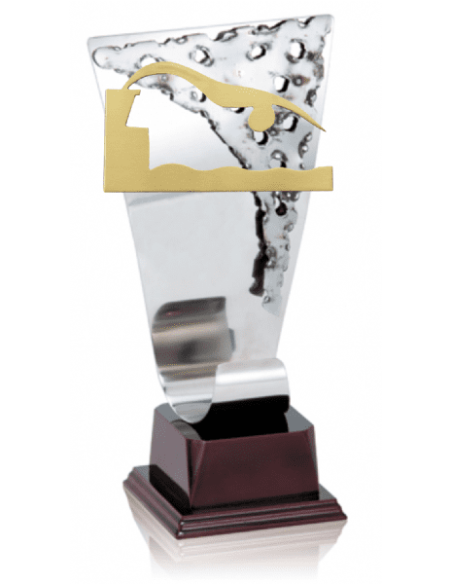 Trofeos de NATACION economicos personalizados en Valencia