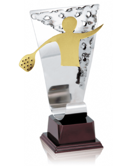 Trofeos de PADEL economicos personalizados en Valencia