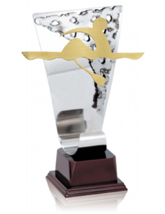 021 Trofeos de REMO&nbsp;economicos personalizados en Valencia