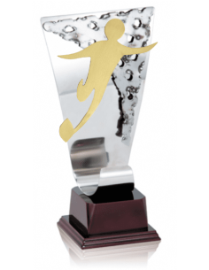 021 Trofeos de RUGBY&nbsp;economicos personalizados en Valencia