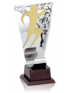 021 Trofeos de RUNNING&nbsp;economicos personalizados en Valencia