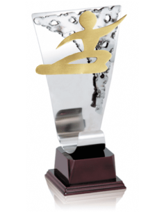 021 Trofeos de SNOWBOARD&nbsp;economicos personalizados en Valencia