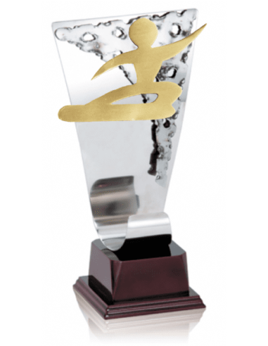 021 Trofeos de SNOWBOARD&nbsp;economicos personalizados en Valencia