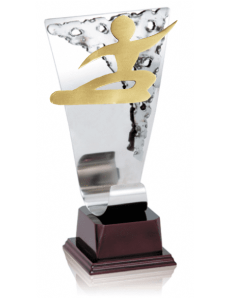 021 Trofeos de SNOWBOARD&nbsp;economicos personalizados en Valencia