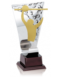 024 Trofeos de VOLEYBOL&nbsp;economicos personalizados en Valencia