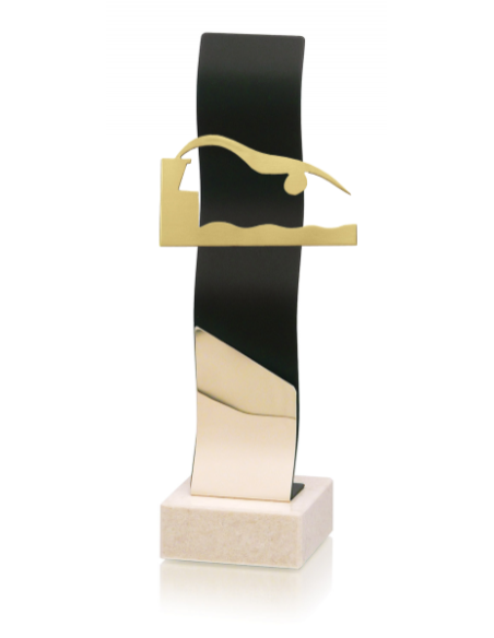 Trofeo De Natacion