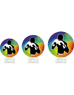 Trofeo De Boxeo De Diseño Cristal