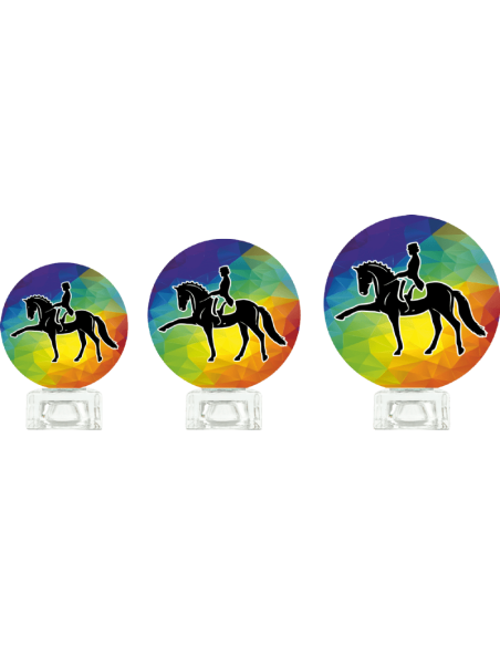 Trofeo De Hipica Doma De Diseño Cristal