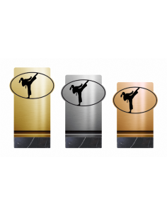 Trofeo de Karate/Taekwondo Femenino de Diseño Metacrilato