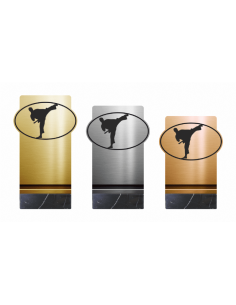 Trofeo de Karate/Taekwondo de Diseño Metacrilato