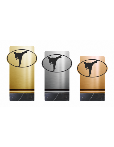 Trofeo de Karate/Taekwondo de Diseño Metacrilato