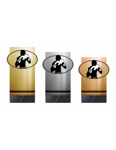 Trofeo De Boxeo De Diseño Metacrilato