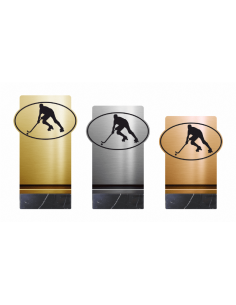 Trofeo De Hockey De Diseño Metacrilato