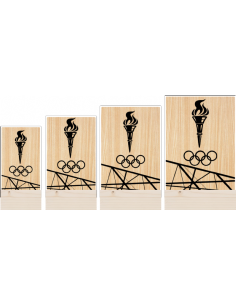 Trofeo de Aros Olimpicos personalizado y grabado