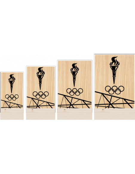 Trofeo de Aros Olimpicos personalizado y grabado