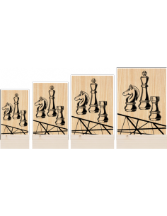 Trofeo Ajedrez De Metacrilato Y Madera