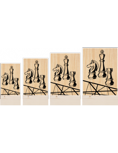 Trofeo Ajedrez De Metacrilato Y Madera