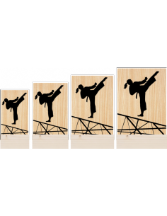 Trofeo Artes Marciales Taekwondo Karate Femenino De Metacrilato Y Madera
