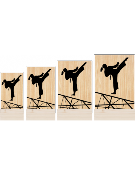 Trofeo Artes Marciales Taekwondo Karate Femenino De Metacrilato Y Madera