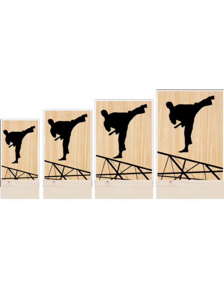Trofeo Artes Marciales Taekwondo Karate Masculino De Metacrilato Y Madera