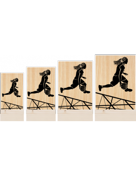 Trofeo Baloncesto Femenino De Metacrilato Y Madera