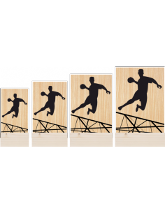 Trofeo Balonmano Masculino De Metacrilato Y Madera