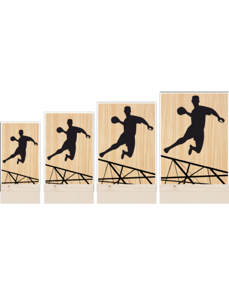 Trofeo Balonmano Masculino De Metacrilato Y Madera