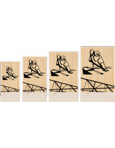 Trofeo Billar De Metacrilato Y Madera