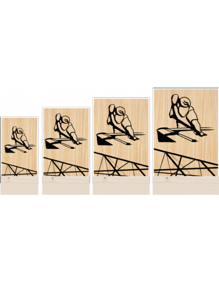 Trofeo Billar De Metacrilato Y Madera
