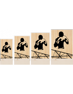 Trofeo Boxeo De Metacrilato Y Madera